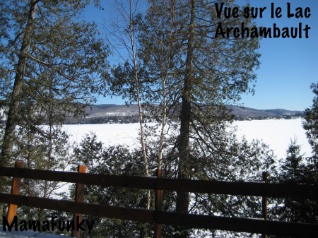 La vue du chalet
