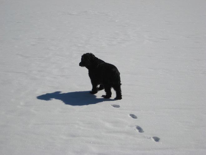 Pénélope sur le lac