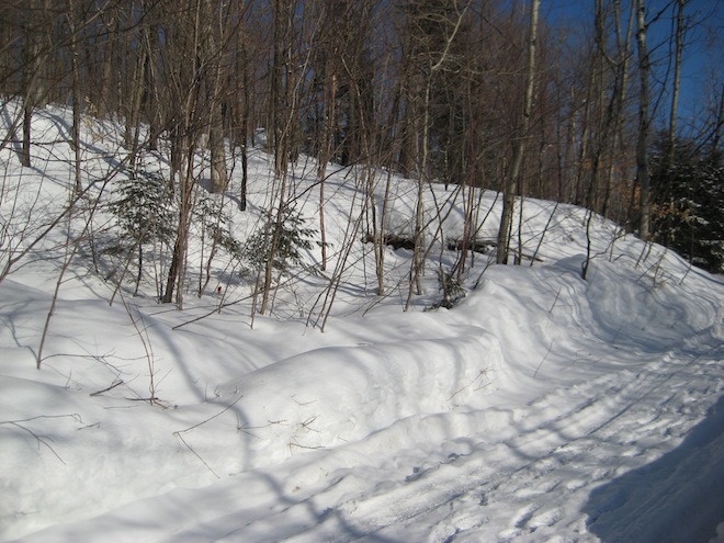 Voyage au Québec_Février 2008 111