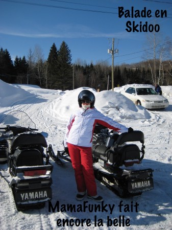 Voyage au Québec_Février 2008 122