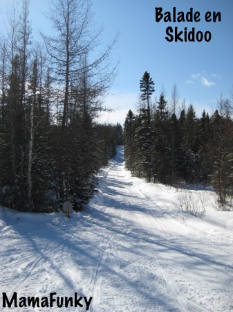 Voyage au Québec_Février 2008 136
