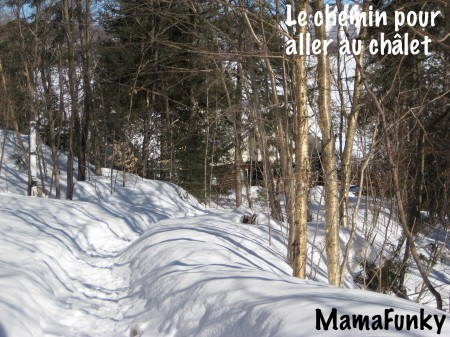 Voyage au Québec_Février 2008 159
