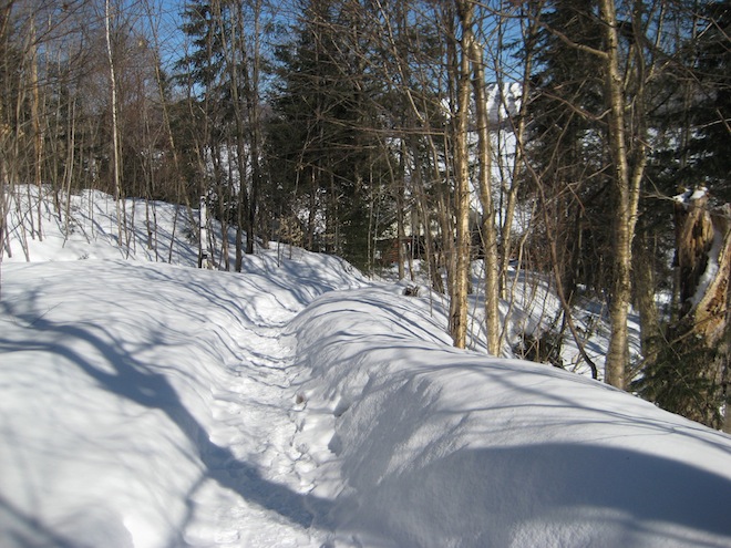 Voyage au Québec_Février 2008 160