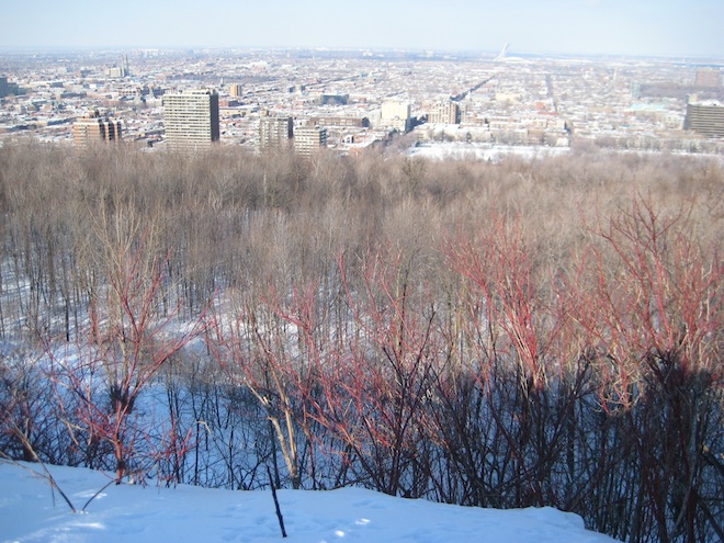 Voyage au Québec_Février 2008 301