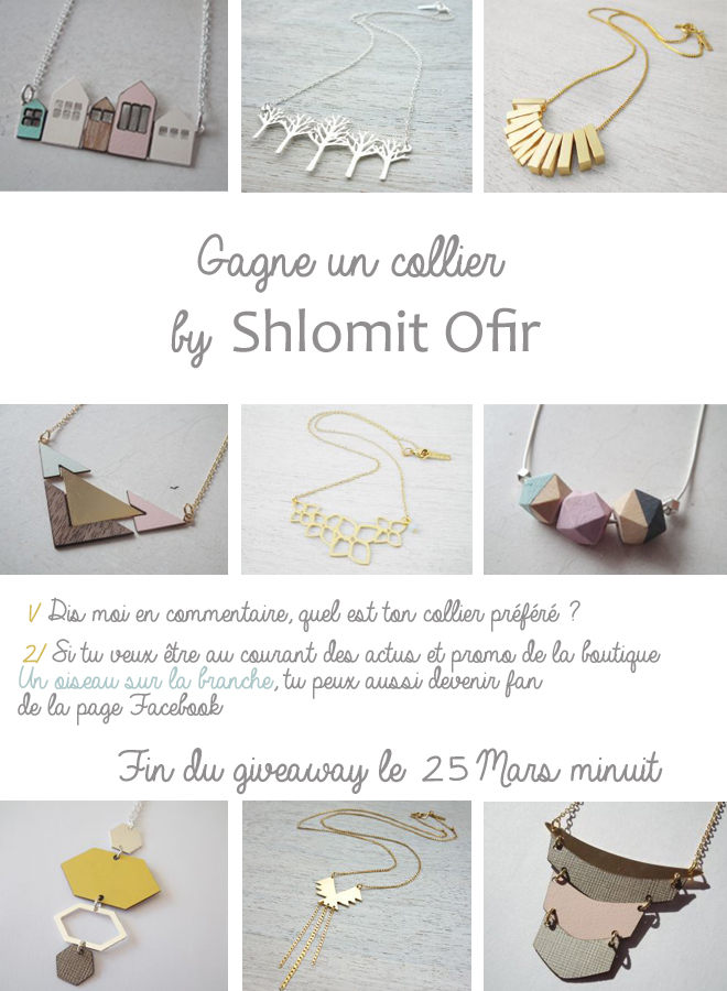 giveaway-shlomit-ofir