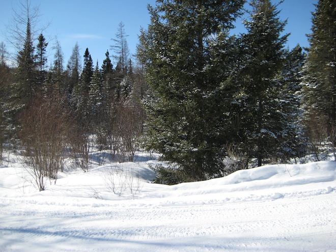 Voyage au Québec_Février 2008 137