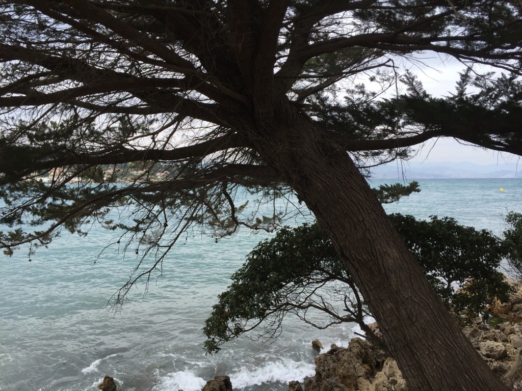 doux sud cote d'Azur Antibes