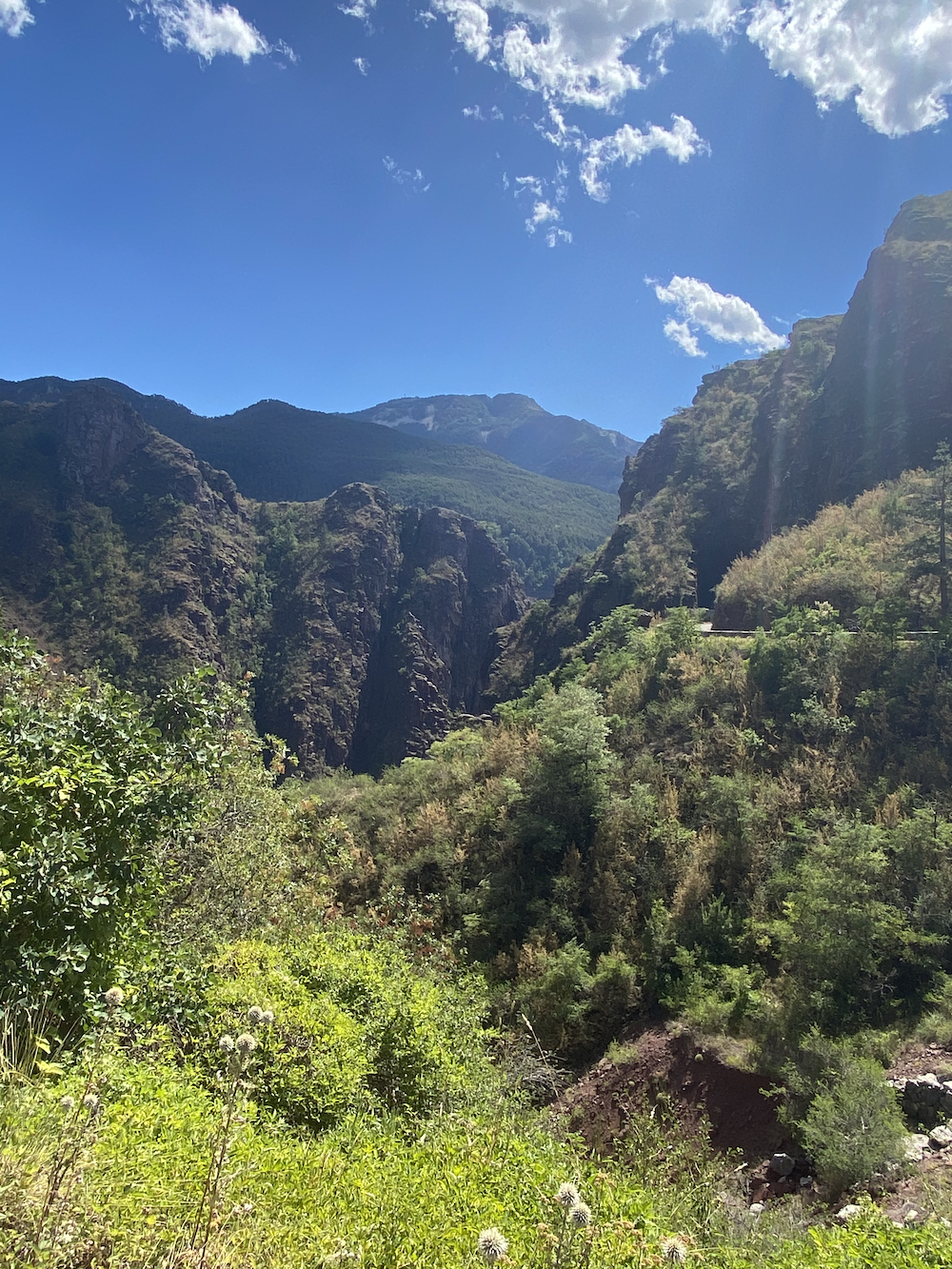 Gorges du Daluis