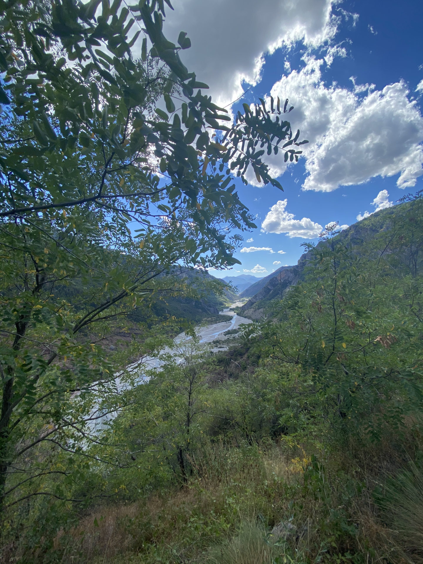 Gorges du Daluis