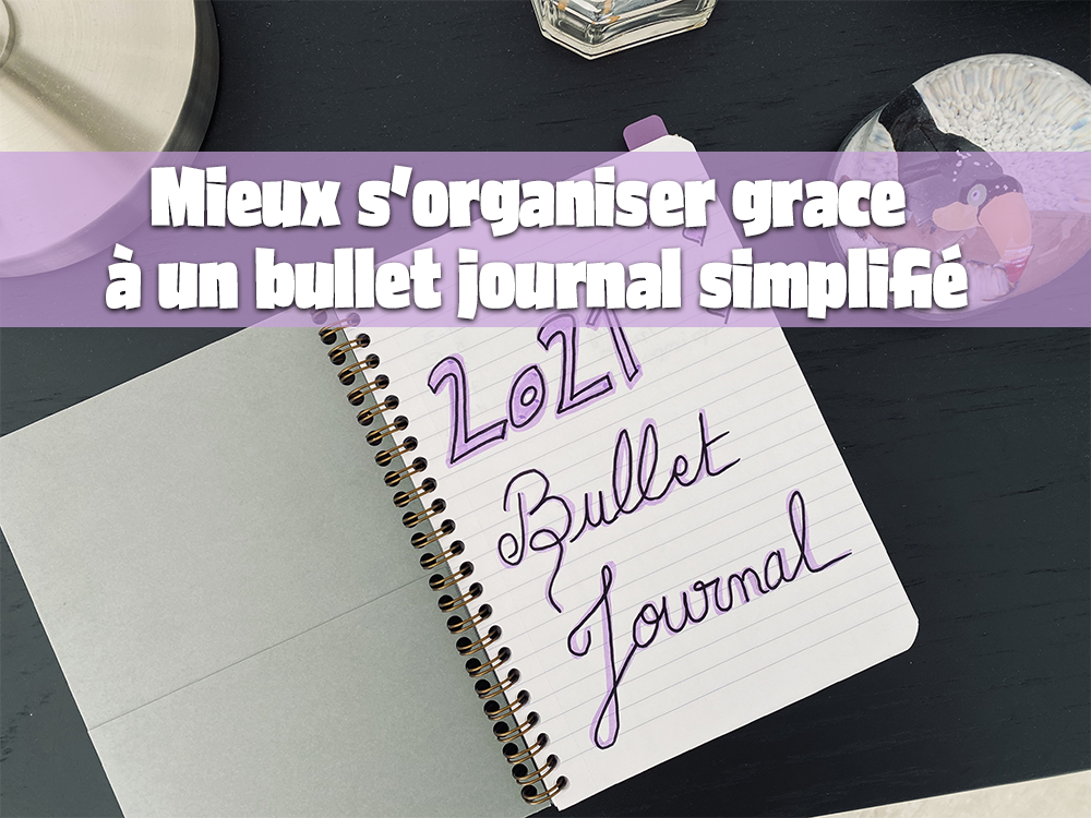 Carnet de grossesse - un journal à compléter tout au long de ta grossesse -  Livre Maternité et Puériculture